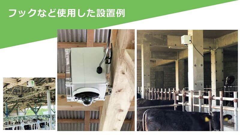 MOWCAM使用例1
