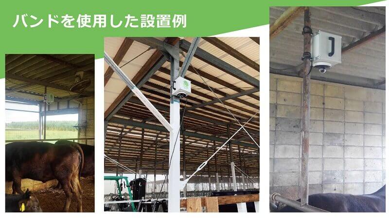 MOWCAM使用例2